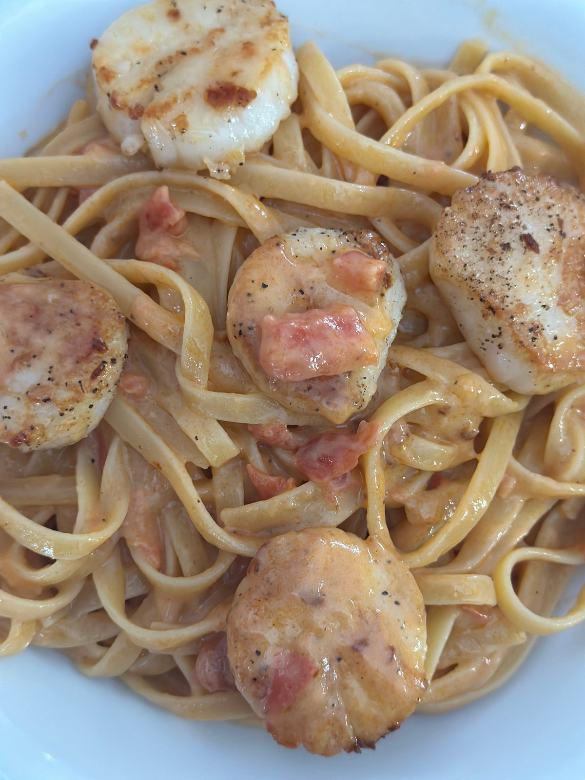 Scallops over pasta w/Tomato Chardonnay Sauce